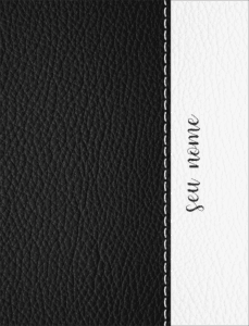Capa 2