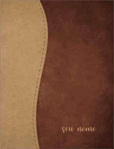 Capa 3