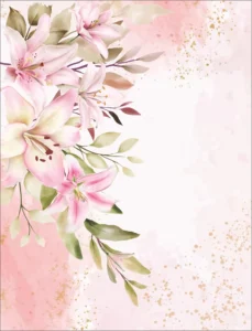 Capa 27