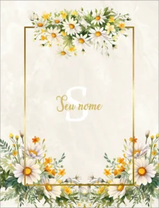 Capa 11