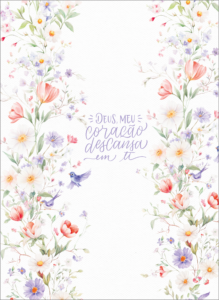 Capa 11